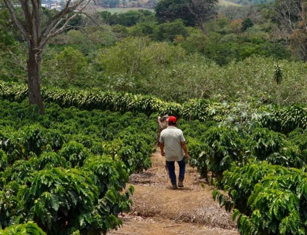 2d88329c-3360-468e-8039-4f94748c1546